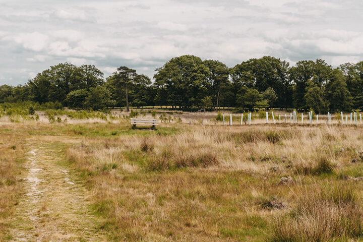 Wandern in Westerwolde in Groningens Südosten
