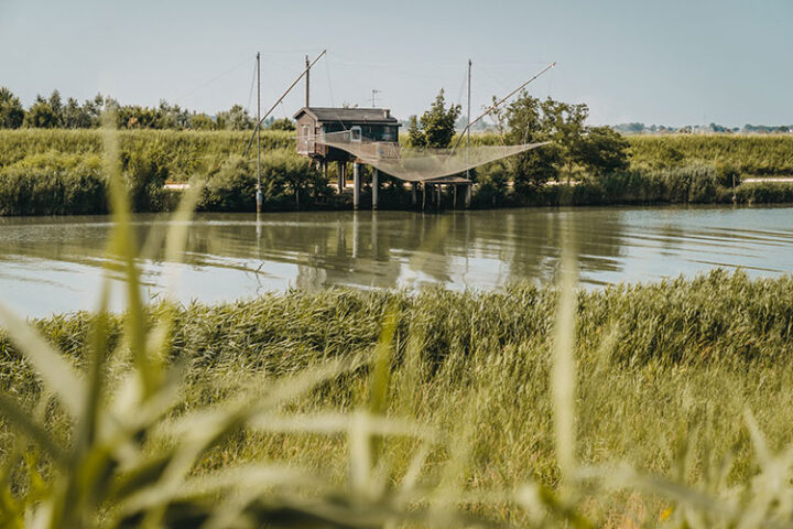 Argine degli Angeli, Valli di Comacchio, Emilia-Romagna
