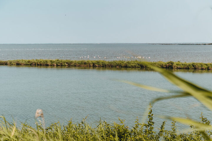 Argine degli Angeli, Valli di Comacchio, Emilia-Romagna