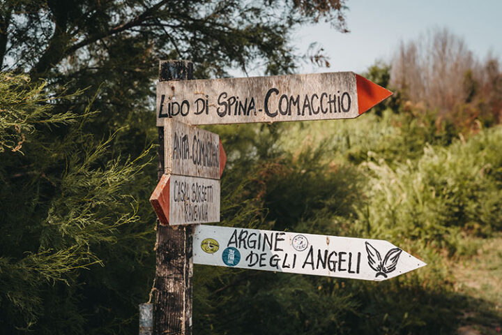 Argine degli Angeli, Valli di Comacchio, Emilia-Romagna