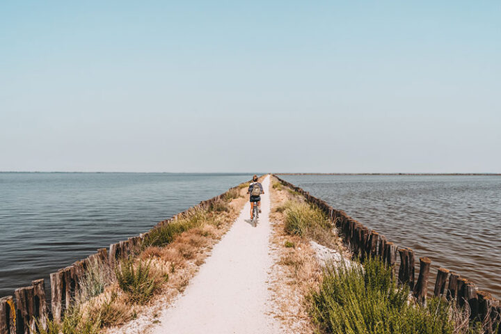 Argine degli Angeli, Valli di Comacchio, Emilia-Romagna