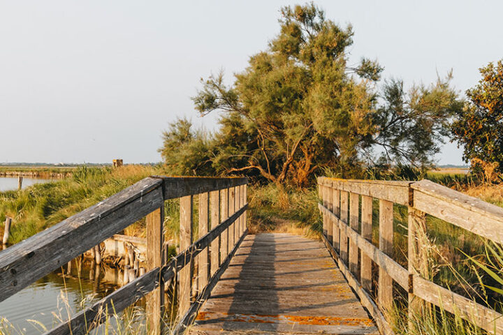 Valli di Comacchio, Parco regionale del Delta del Po, Italien