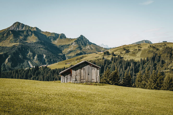 Alpkäsewanderung zur Alpe Elsa, Bregenzerwald, Österreich