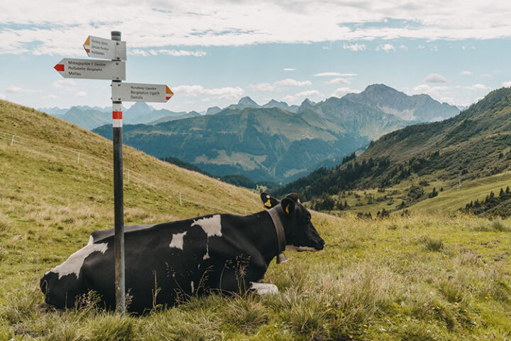 Wanderung Speicherteich Hohes Licht, Vorarlberg, Österreich