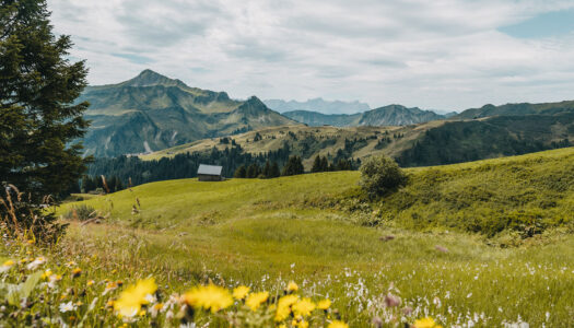 Bregenzerwald in Vorarlberg: Ausflugsziele & Tipps