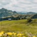 Bregenzerwald in Vorarlberg: Ausflugsziele & Tipps