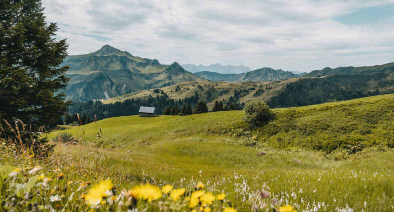 Bregenzerwald in Vorarlberg: Ausflugsziele & Tipps