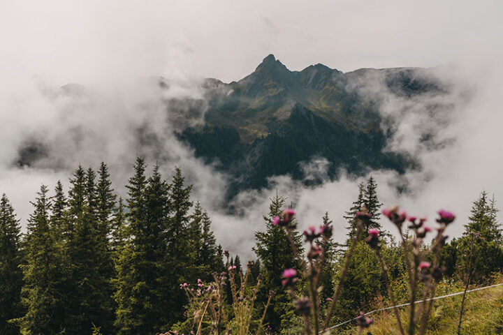 Gauertaler AlpkulTour, Wanderung, Montafon, Vorarlberg, Österreich