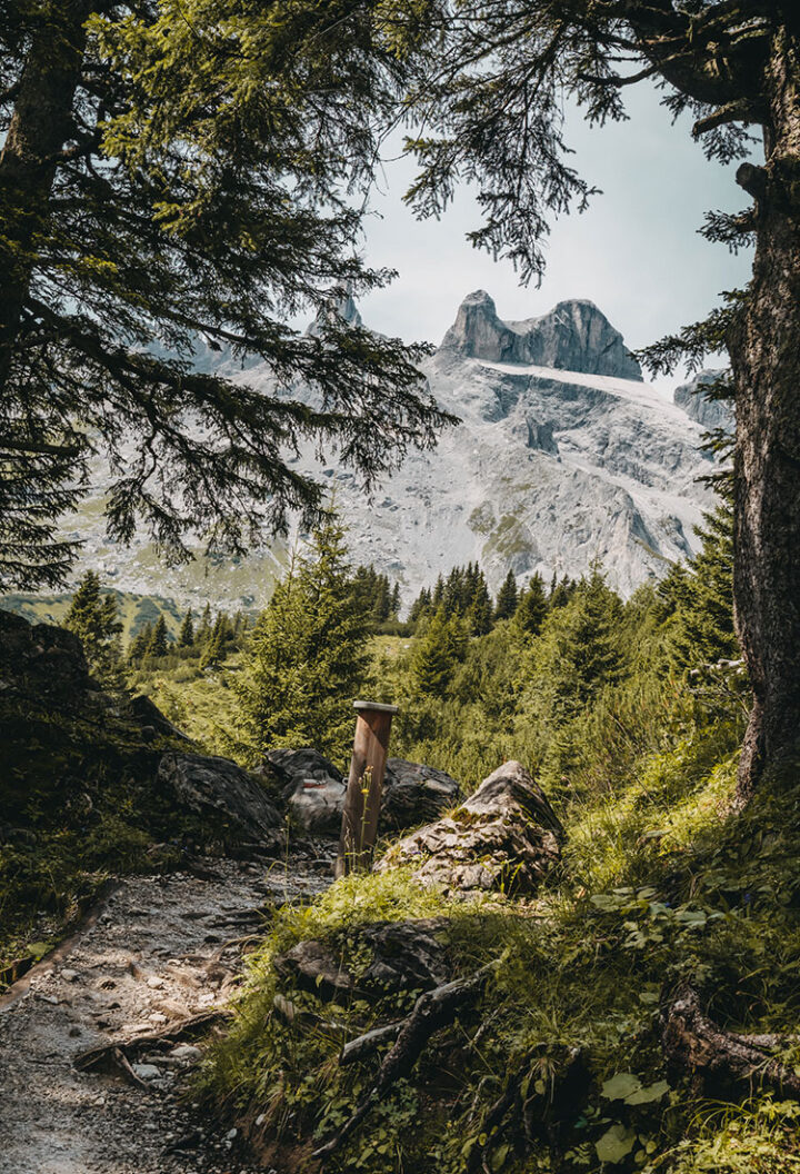 Gauertaler AlpkulTour, Wanderung, Montafon, Vorarlberg, Österreich