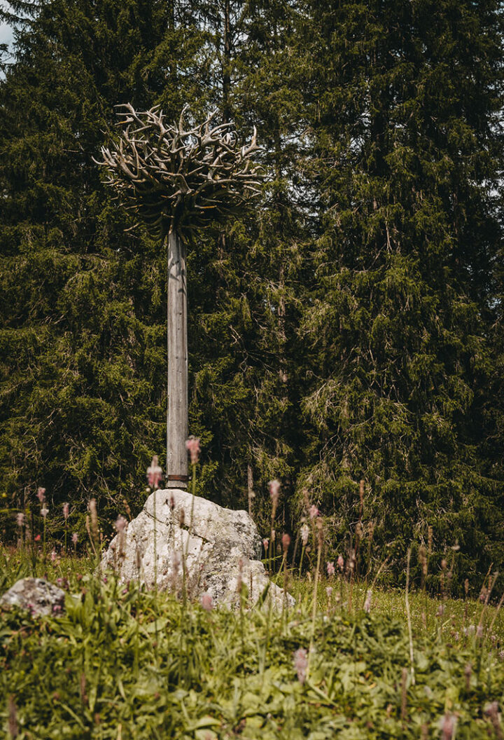 Gauertaler AlpkulTour, Wanderung, Montafon, Vorarlberg, Österreich