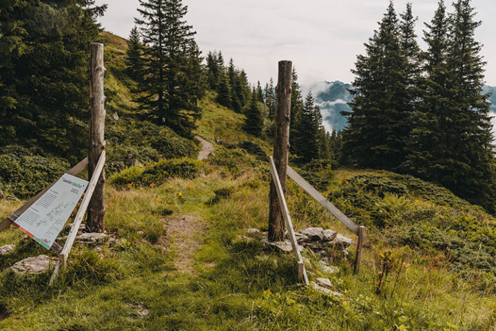 Gauertaler AlpkulTour, Wanderung, Montafon, Vorarlberg, Österreich