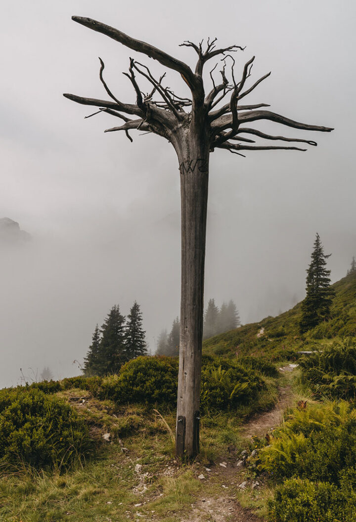 Gauertaler AlpkulTour, Wanderung, Montafon, Vorarlberg, Österreich