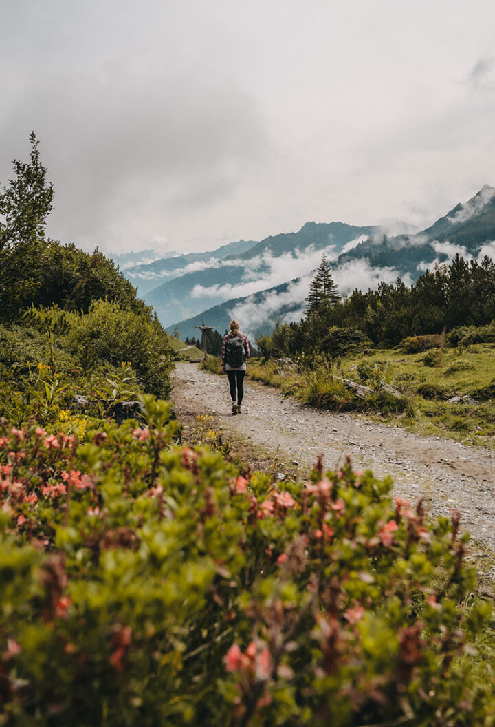 Gauertaler AlpkulTour, Wanderung, Montafon, Vorarlberg, Österreich