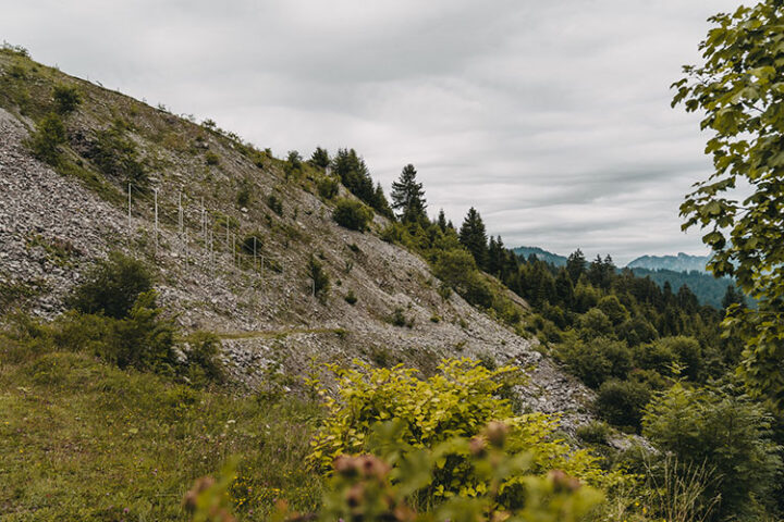 Georunde Rindberg in Sibratsgfäll, Bregenzerwald, Vorarlberg