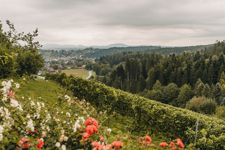 Buschenschank Dokter, Region Graz