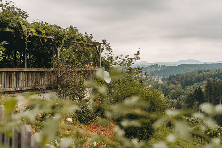 Buschenschank Dokter, Region Graz
