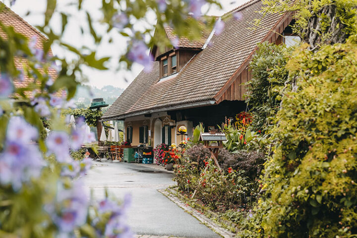 Buschenschank Dokter, Region Graz