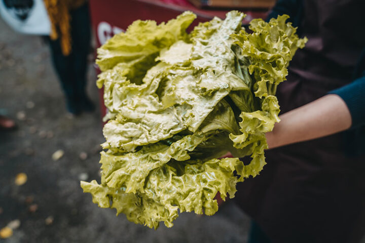 Genussbauernhof Hillebrand, Region Graz, Österreich