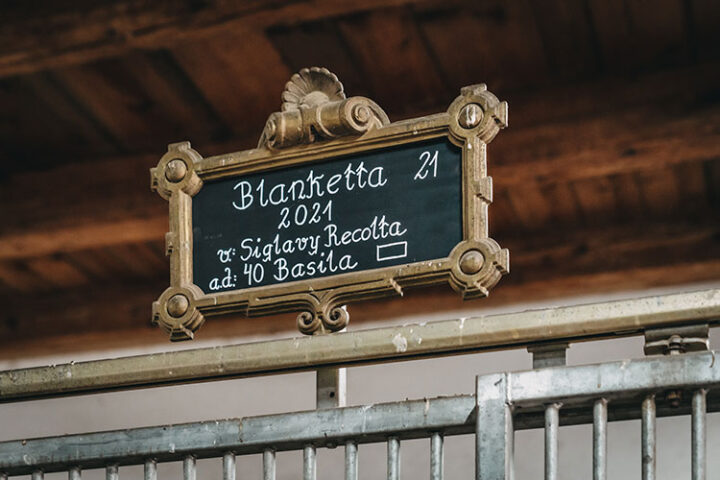 Lipizzanergestüt Piber, Region Graz, Steiermark