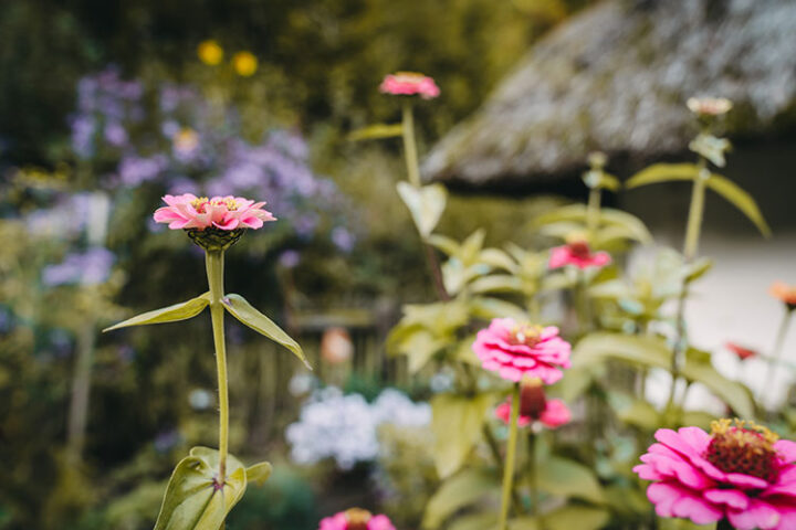 Freilichtmuseum Stübing, Region Graz, Steiermark, Österreich