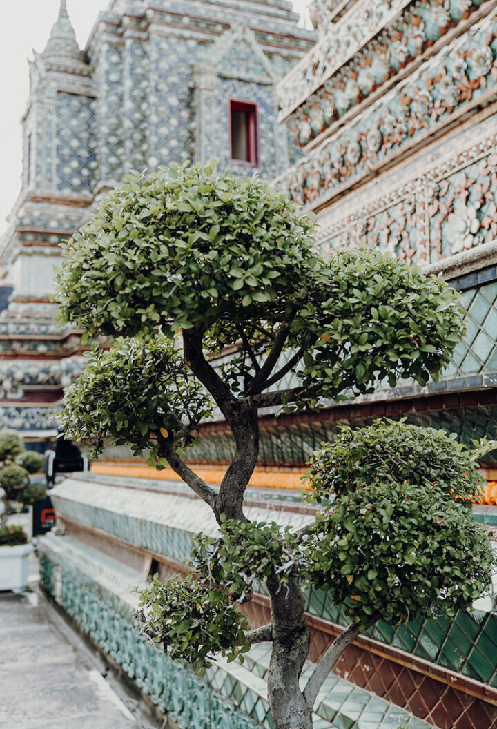 Wat Pho, Tempel in Bangkok, Thailand