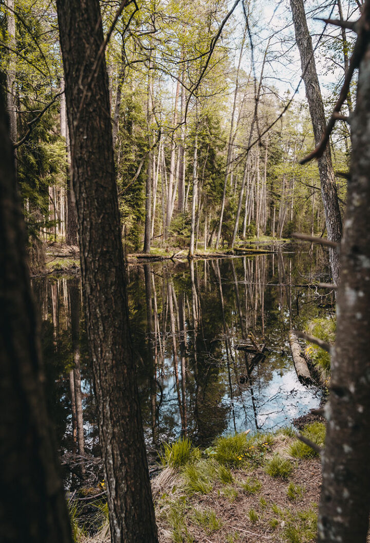Nationalpark Roztocze, Polen