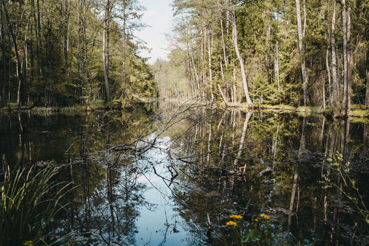 Nationalpark Roztocze, Polen