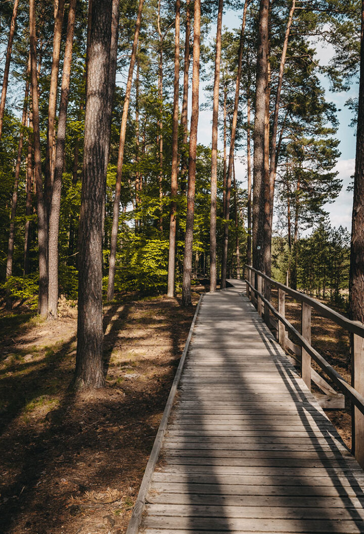 Nationalpark Roztocze, Polen
