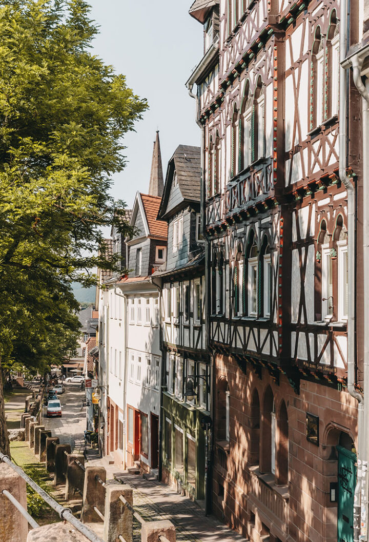 Altstadt, Oberstadt Marburg, Hessen, Deutschland