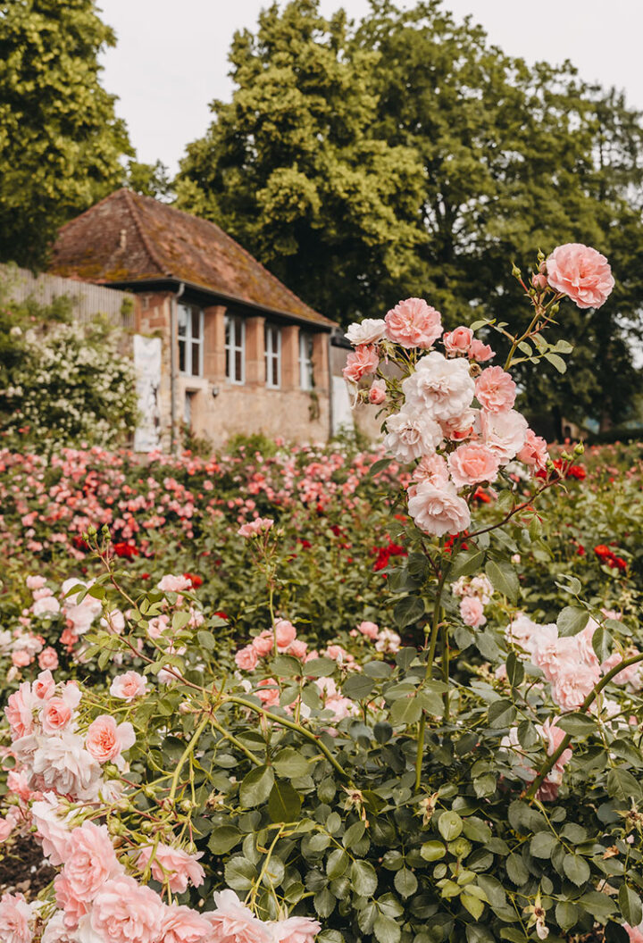 Schlosspark, Marburg, Hessen
